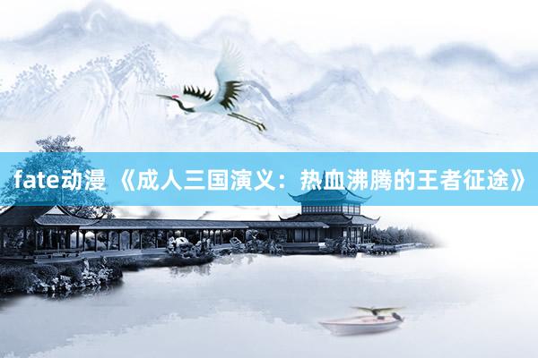 fate动漫 《成人三国演义：热血沸腾的王者征途》